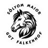Sólyom Major - Gut Falkenhof