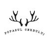 La Popasul Cerbului Semenic