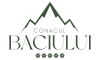 Conacul Baciu