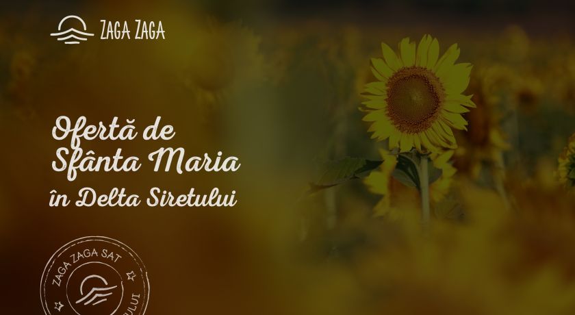 Ofertă Sf. Maria 2025