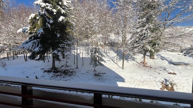 Pensiunea Lac Colibita