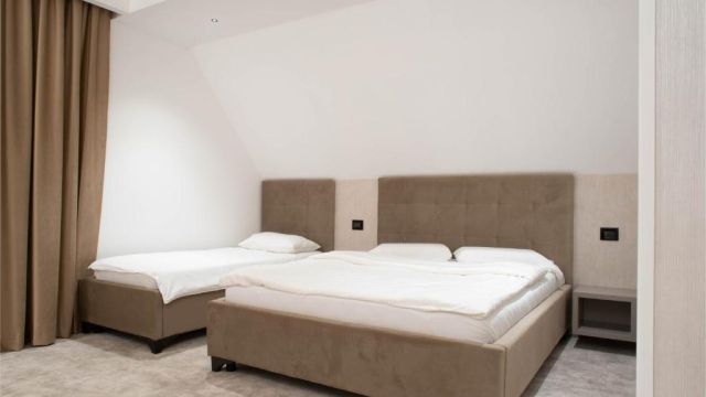 Hotel Roman Maramures