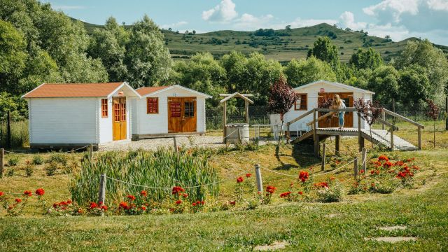 Sólyom Major - Gut Falkenhof