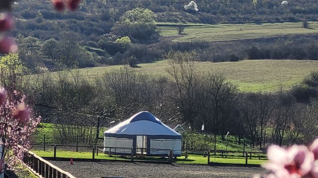 Sólyom Major - Gut Falkenhof