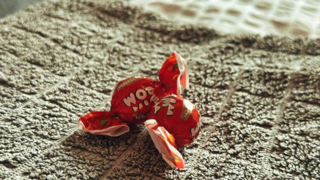 NEO - Trei - Cosy Studio