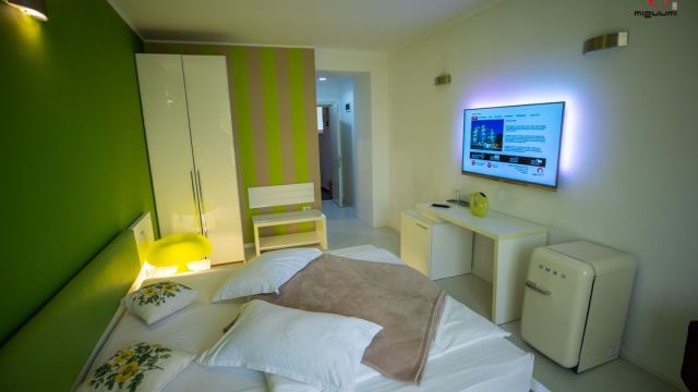 Hotel Victor Mizuumi