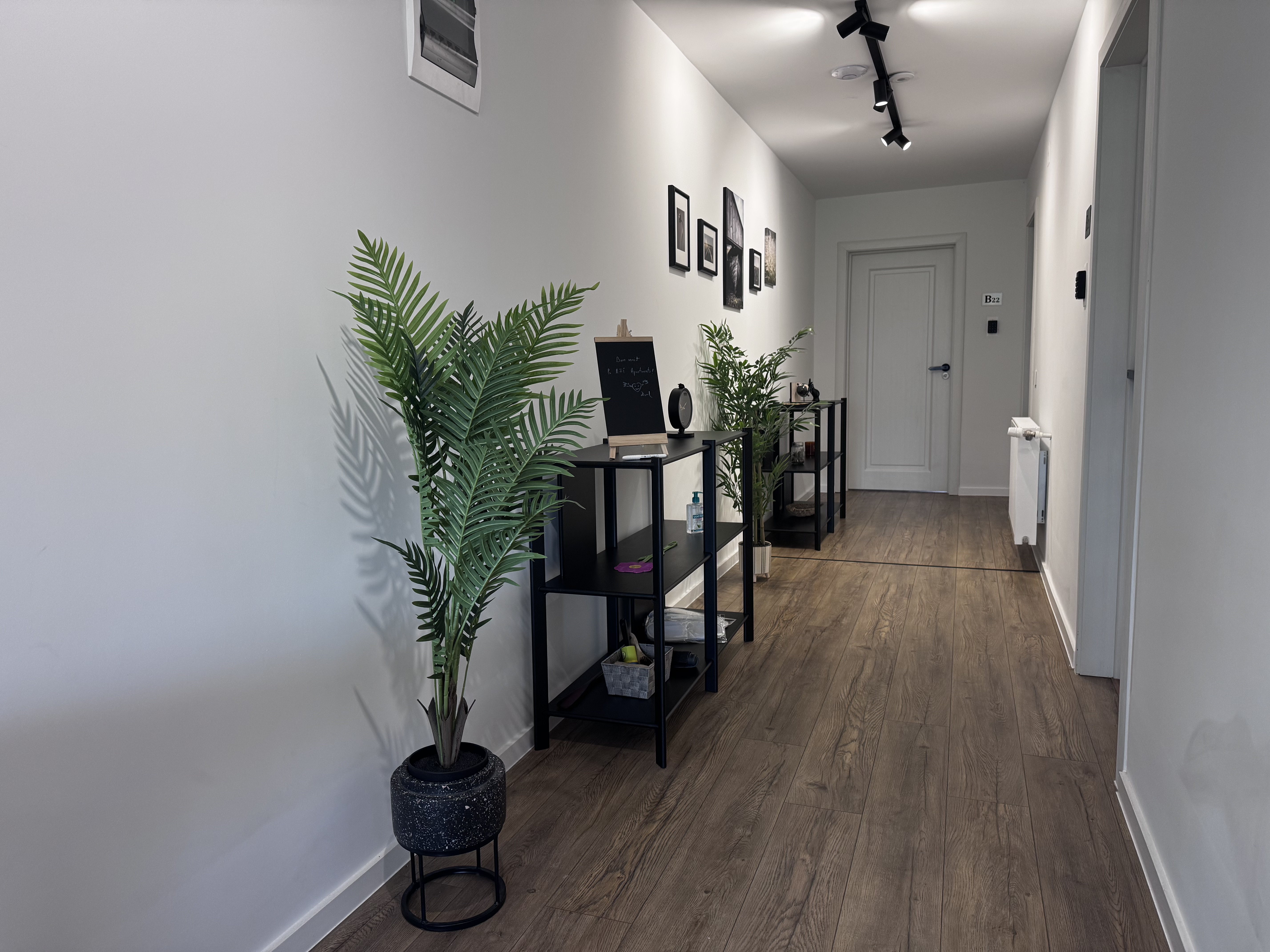 AFI gallery