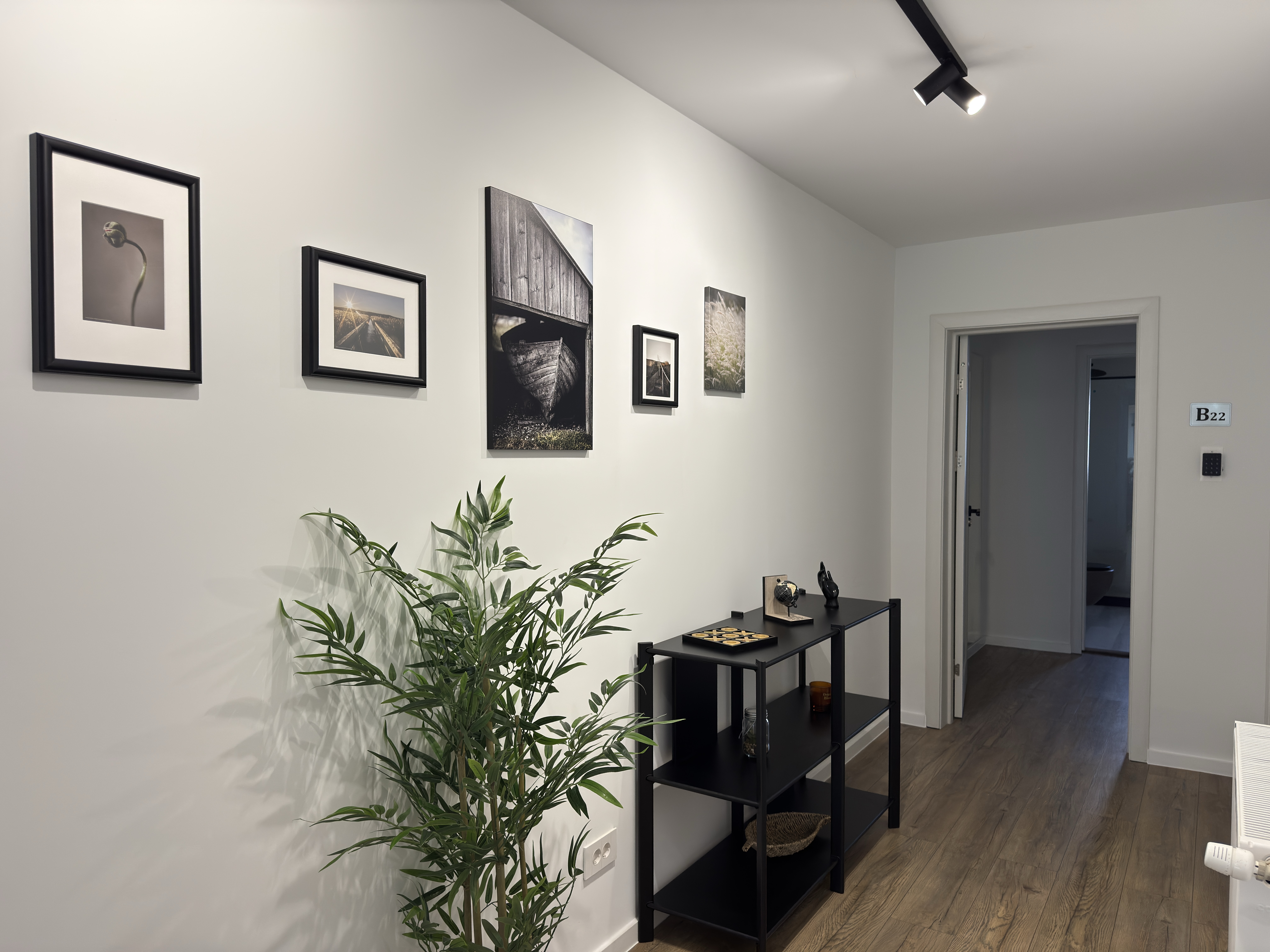 AFI gallery