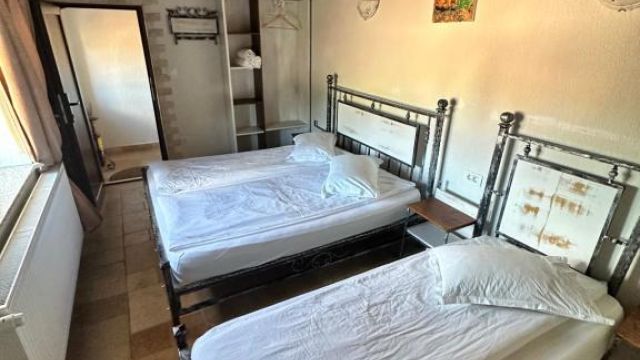 La Popasul Cerbului Semenic