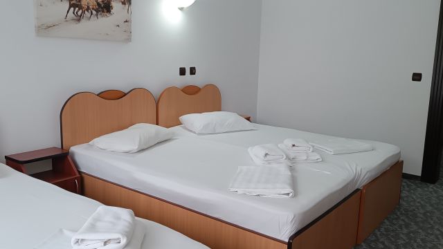 Hotel Roman Băile Herculane