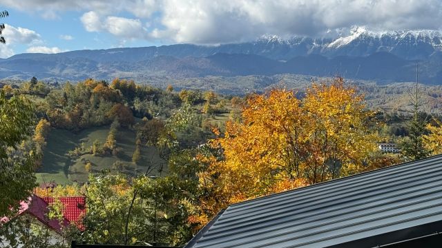 The Pines Bucegi Lodge