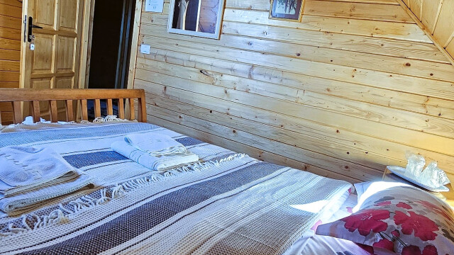 Pensiune Agroturistica Casa dintre Pini Agapia