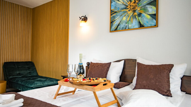 Casa Dives - Varianta Boierească